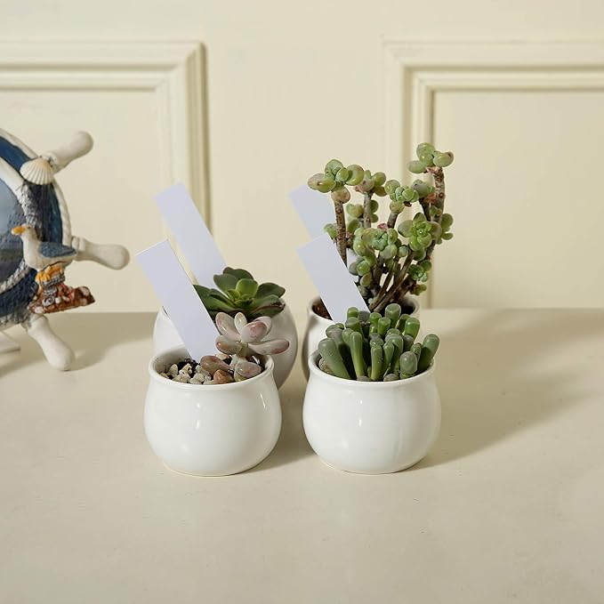 1000 Pcs Plant Tags, 4 Inch Plastic Garden Plant Pot Markers Waterproof Plant Label, White