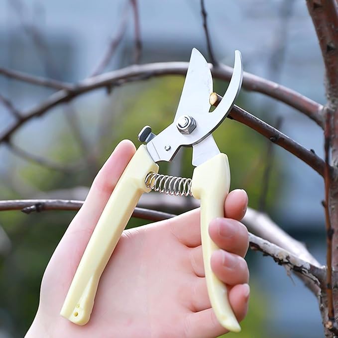 Garden Shears Stainless Steel Garden Pruning Shears for Branch Cutting, Bonsai Trimming, Orchard and Outdoor Gardening Tools(Elbow)