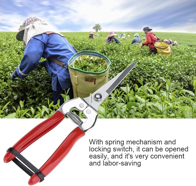 Trimming Scissors Flower Cutters for Stems Florist, Pruning Shears Indoor Plants Gardening Tools, Garden Scissors Bonsai Tools with Spring Loaded for Garden Workings (Straight Blade)