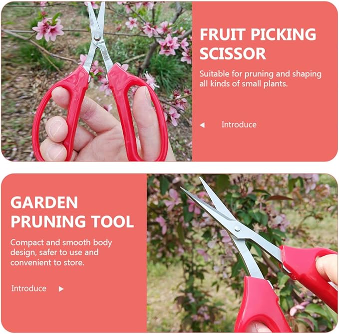 Multifunctional Garden Scissors and Pruning Shears for Flowers and Fruits, Curved Head Trimming Shear with Comfortable Handle, Professional Gardening Tool for Branch and Plant Care