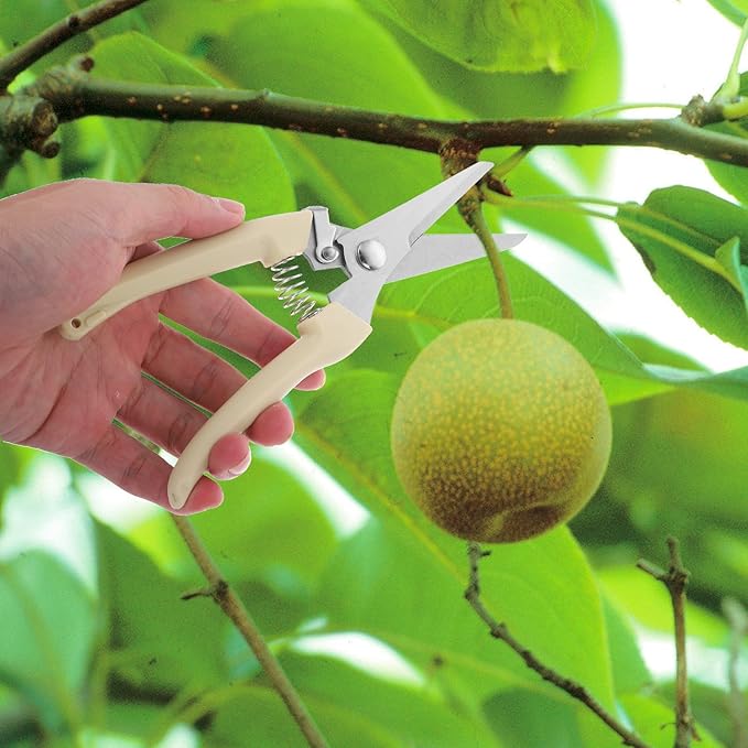 Pruning Scissors Garden Shears Stainless Steel Branch Cutter Portable Hand Tool for Fruit Trees and Gardening Trimming