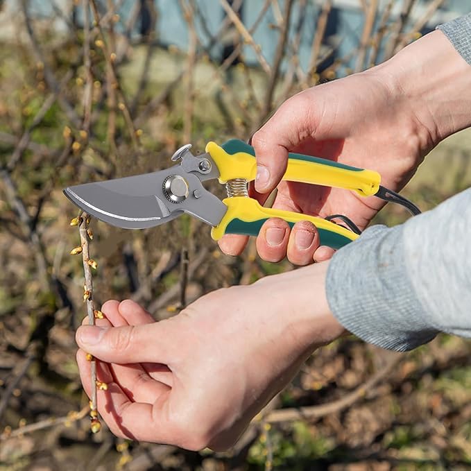 HEMOTON Bent Tip Pruning Shear for Tree Trimming with Lanyard, Stainless Steel Garden Clippers for Branches and Plant Care, Multi-purpose Hand Tool for Orchard and Flower Gardening