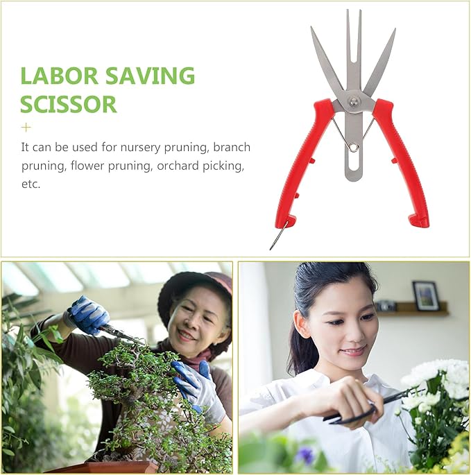 Garden Pruning Shears and Gardening Scissors Double-edged Sharp Blades for Fruit Thinning and Plant Trimming, Lightweight Handheld Tool for Garden and Orchard Maintenance