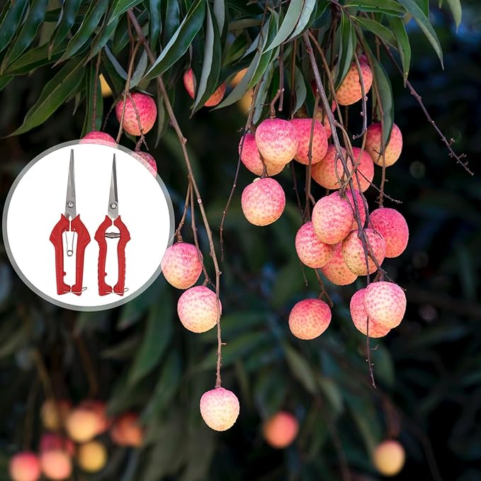 2-pcs Garden Pruning Shears and Trimming Scissors Set, Large and Medium Bypass Pruners for Fruit Trees and Bonsai, Red Gardening Hand Tools for Branch Cutting and Plant Maintenance