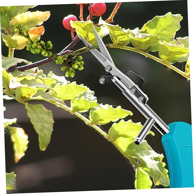 Healifty Pruning Shears with Ergonomic Handle Garden Hand Tool for Trimming Branches Flowers and Potted Plants Wear Resistant Cutting Clippers