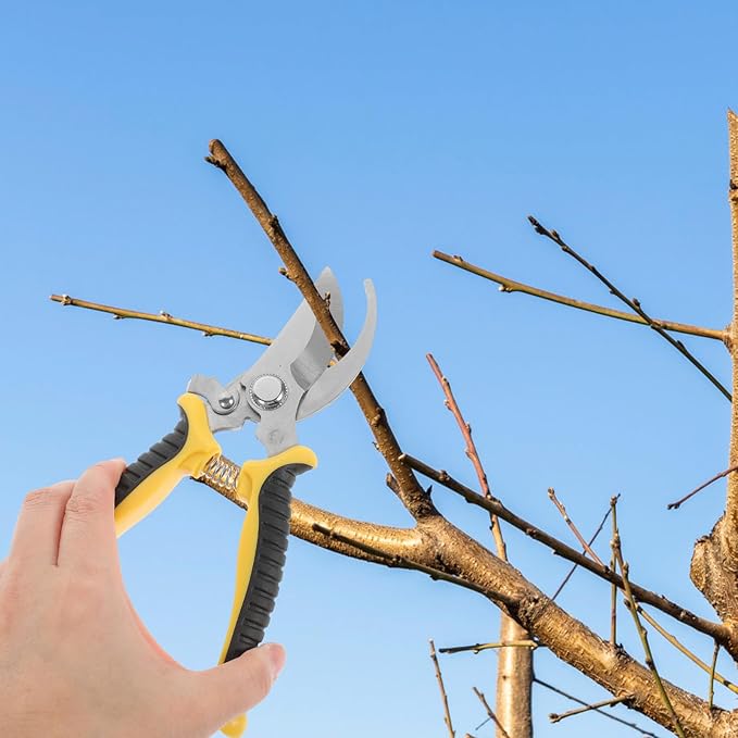 GANAZONO 2pcs Sk5 Steel Pruning Shears Garden Flower Scissors Gardening Hand Tools with Yellow Handle and Straight Tip for Tree Branch Trimming and Plant Care