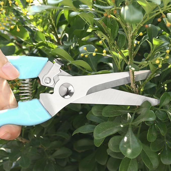 2Pcs Garden Pruning Shears for Fruit Tree Branches and Twigs, Curved and Straight Blade Gardening Scissors, Home Use Heavy-Duty Trimming Tools for Yard Maintenance