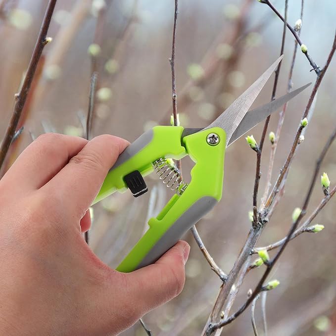 ibasenice 2pcs Garden Shears Pruning Shears with Curved Blades Outdoor Branch Cutters for Fruit Trees and Plants Gardening Hand Tools for Harvesting and Trimming