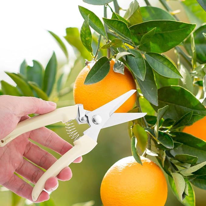Pruning Scissors Garden Shears Stainless Steel Branch Cutter Portable Hand Tool for Fruit Trees and Gardening Trimming