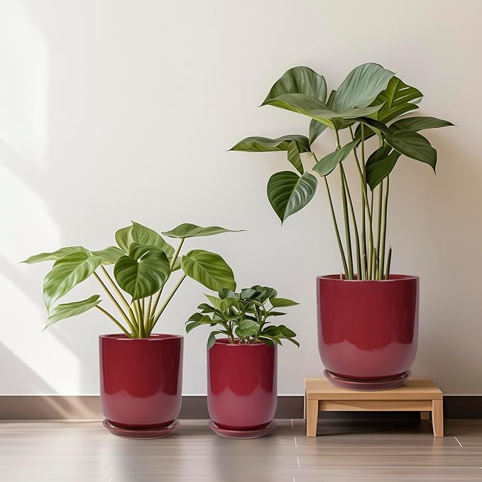 SUNPOTFOR Ceramic Pot for Plants - 8 Inch Plant Pot Indoor with Drainage Hole and Saucer Cylinder Flower Pot for Indoor Outdoor Plants Home Patio Office Decor Red