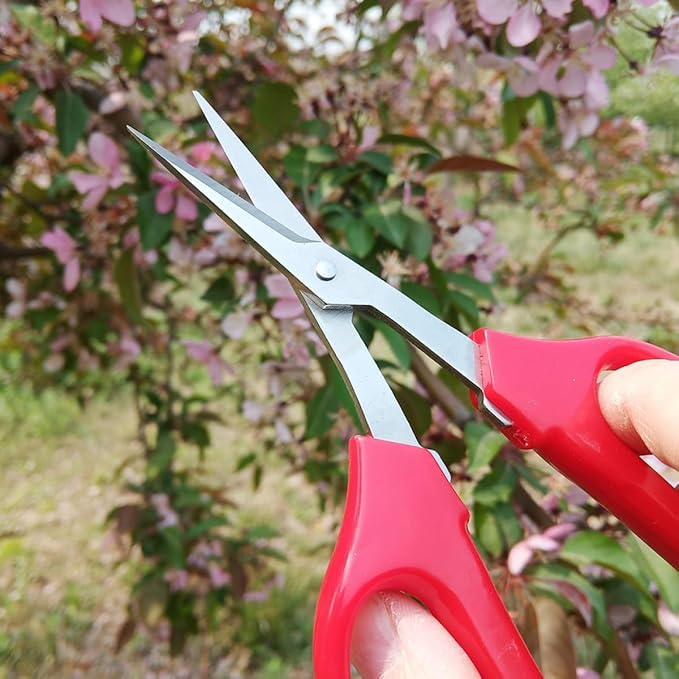 Multifunctional Garden Shears and Flower Pruning Scissors with Curved Blade for Floral Arrangement and Fruit Cutting, Hand Pruner Tool for Gardening and Plant Trimming