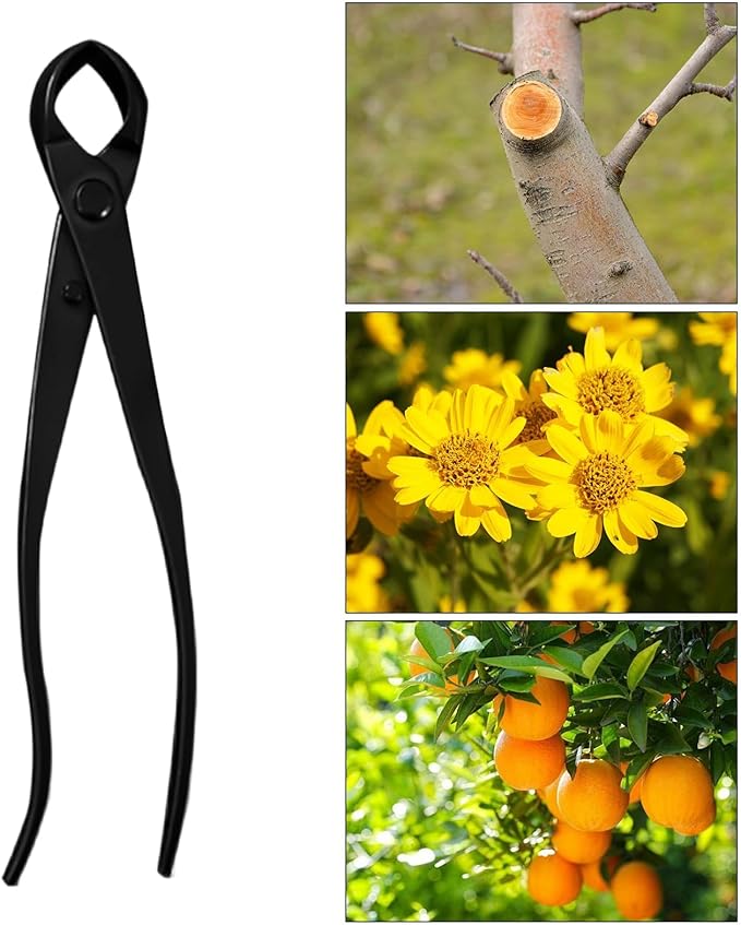 Pruning Shears, Bypass Trimming Yard Tools, Garden Clippers for Branches, Flowers, Floral Arrangements, Trees, Plants, Bonsai, Outdoor and Home Gardening, Lawn Care, General Plant Maintenance