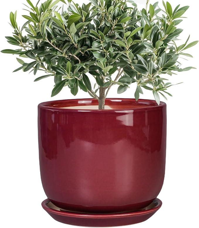 SUNPOTFOR Ceramic Flower Pot for Plants - Cylinder Modern 8 Inch Plant Pot Indoor with Drainage Hole and Saucer, Home Office Room Porch Decor, Red