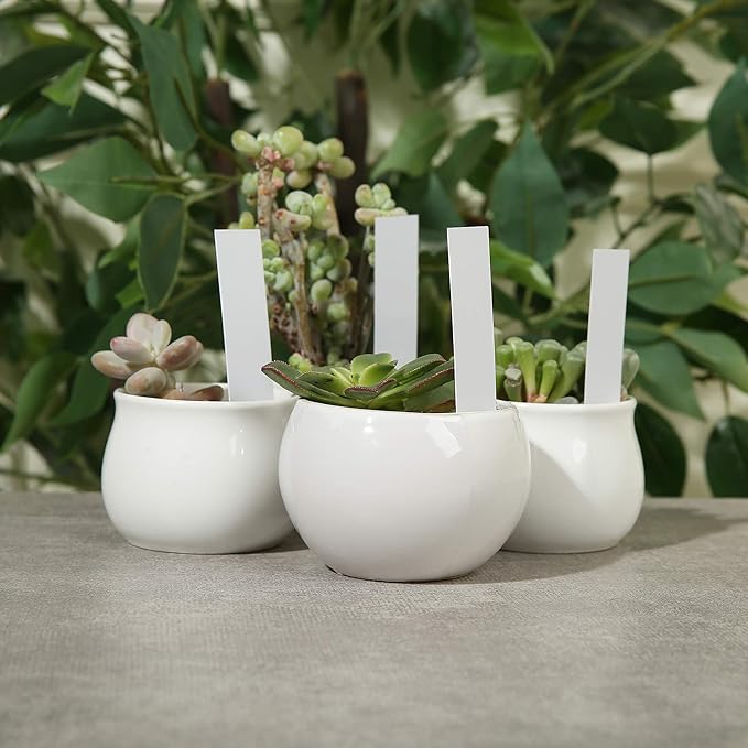 1000 Pcs Plant Tags, 4 Inch Plastic Garden Plant Pot Markers Waterproof Plant Labels, Multicolor