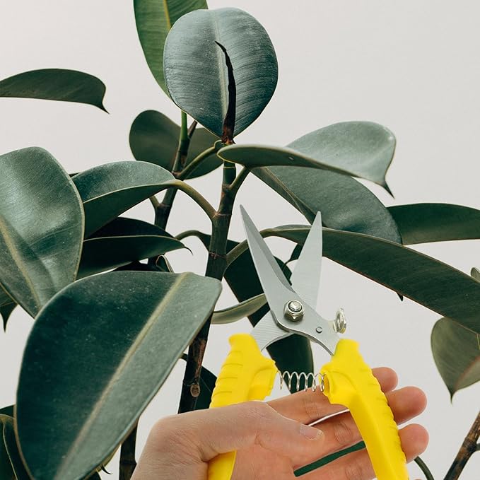 Mipcase Garden Scissor Pruning Shear with Serrated Edge 8-Inch Multi-Purpose Gardening Tool for Pruning and Trimming in Lawn Care and Garden Maintenance Random Color Random Color