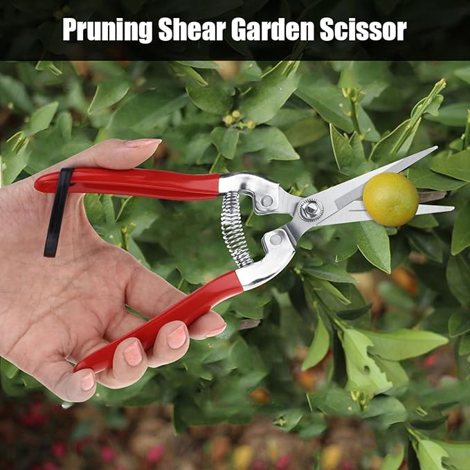 Trimming Scissors Flower Cutters for Stems Florist, Pruning Shears Indoor Plants Gardening Tools, Garden Scissors Bonsai Tools with Spring Loaded for Garden Workings (Straight Blade)