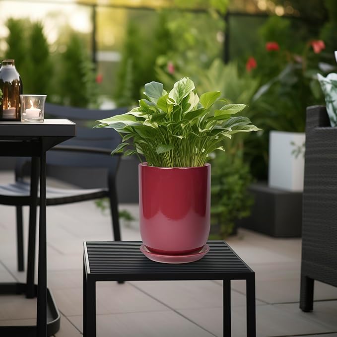 SUNPOTFOR Ceramic Pot for Plants - 8 Inch Plant Pot Indoor with Drainage Hole and Saucer Cylinder Flower Pot for Indoor Outdoor Plants Home Patio Office Decor Red