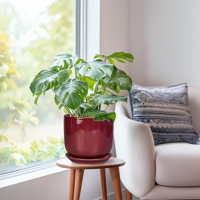 SUNPOTFOR Ceramic Flower Pot for Plants - Cylinder Modern 8 Inch Plant Pot Indoor with Drainage Hole and Saucer, Home Office Room Porch Decor, Red