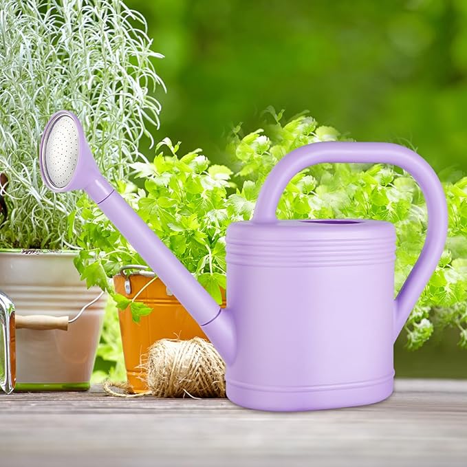 1 Gallon Watering Can for Indoor Plants, Garden Watering Cans for Outdoor Plant House Flower, Modern Plant Watering Can Large Long Spout with Sprinkler Head