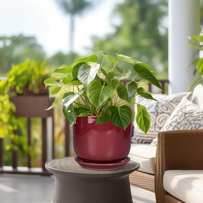 SUNPOTFOR Ceramic Flower Pot for Plants - Cylinder Modern 8 Inch Plant Pot Indoor with Drainage Hole and Saucer, Home Office Room Porch Decor, Red