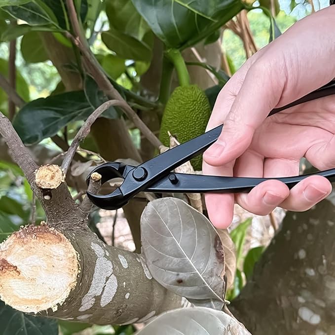 Pruning Shears, Bypass Trimming Yard Tools, Garden Clippers for Branches, Flowers, Floral Arrangements, Trees, Plants, Bonsai, Outdoor and Home Gardening, Lawn Care, General Plant Maintenance
