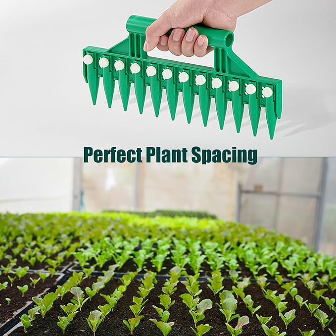 Seed Dibber, Multifunctional Seed Spacer Tool, Seed-in Soil Digger Garden Spacer aid for Planting Seeds Laying Out ideally Spaced Rows (Green)