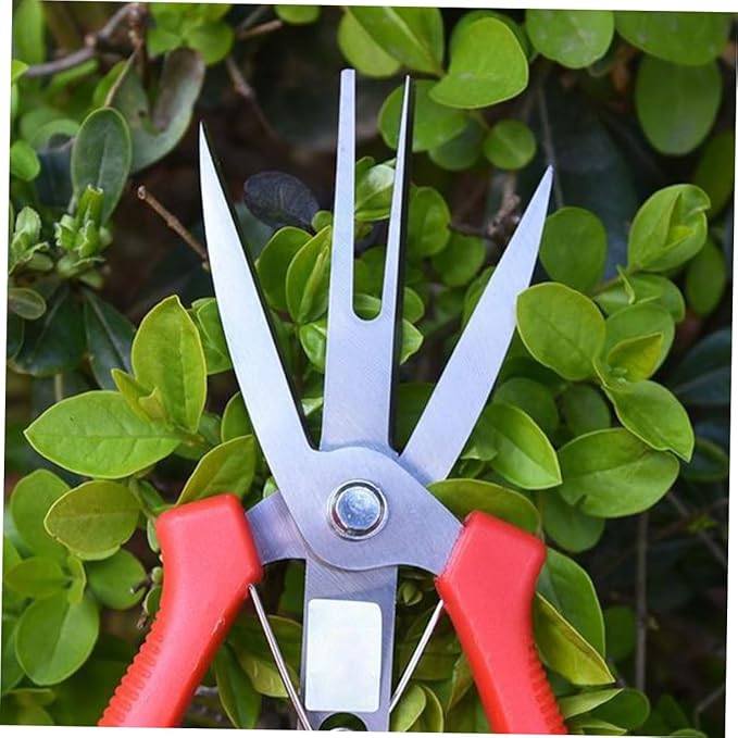 Double Mouth Fruit Scissors Pruning Shear for Gardening and Orchard Use Multi Functional One Handed Garden Tool for Trimming Branches Flowers and Vegetables