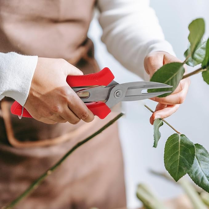 Double-edged Fruit Thinning Pruning Shears Gardening Scissors Handheld Plant Clippers for Flower and Vegetable Trimming, Metal Garden Hand Tools for Fruit Picking and Branch