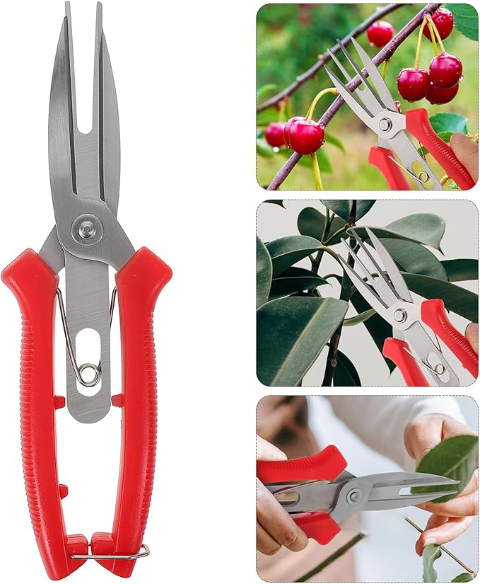 Garden Pruning Shears and Gardening Scissors Double-edged Sharp Blades for Fruit Thinning and Plant Trimming, Lightweight Handheld Tool for Garden and Orchard Maintenance
