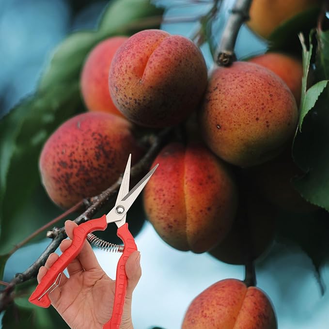 2-pcs Garden Pruning Shears and Trimming Scissors Set, Large and Medium Bypass Pruners for Fruit Trees and Bonsai, Red Gardening Hand Tools for Branch Cutting and Plant Maintenance