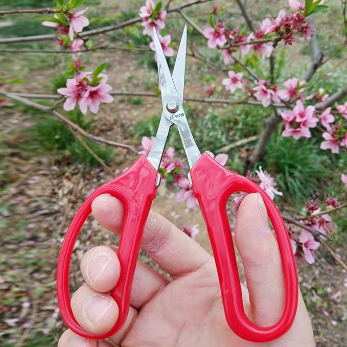 UPKOCH Curved Fruit Scissors and Garden Pruning Shears for Flower Trimming, Horticulture Hand Tool with Sharp Blade, Suitable for Orchard and Floral Arrangement Use