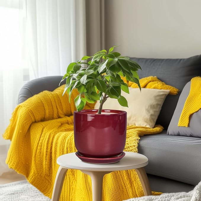 SUNPOTFOR Ceramic Flower Pot for Plants - Cylinder Modern 8 Inch Plant Pot Indoor with Drainage Hole and Saucer, Home Office Room Porch Decor, Red