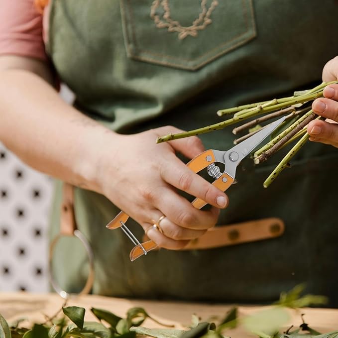 VANZACK 2pcs Stainless Steel Garden Pruning Shears Heavy Duty Plant Clippers for Fruit Tree and Vegetable Trimming, Large Gold Gardening Hand Tools for Orchard and Vineyard Use