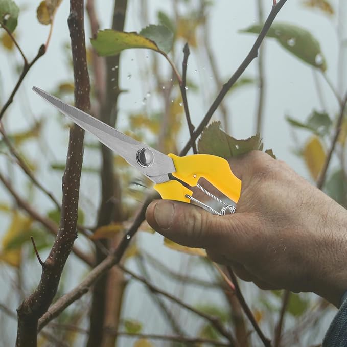 Tofficu Garden Pruning Shears Stainless Steel Plant Shears with Yellow Handle for Fruit Harvesting and Branch Trimming, Gardening Hand Tool for Orchard and Horticulture Use