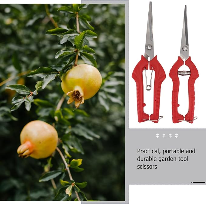 VOSAREA 2pcs Garden Pruning Shears Set with Bypass Blades, Large and Medium Fruit Picking Scissors for Tree Trimming and Bonsai Care, Gardening Hand Tools for Patio and Lawn Maintenance