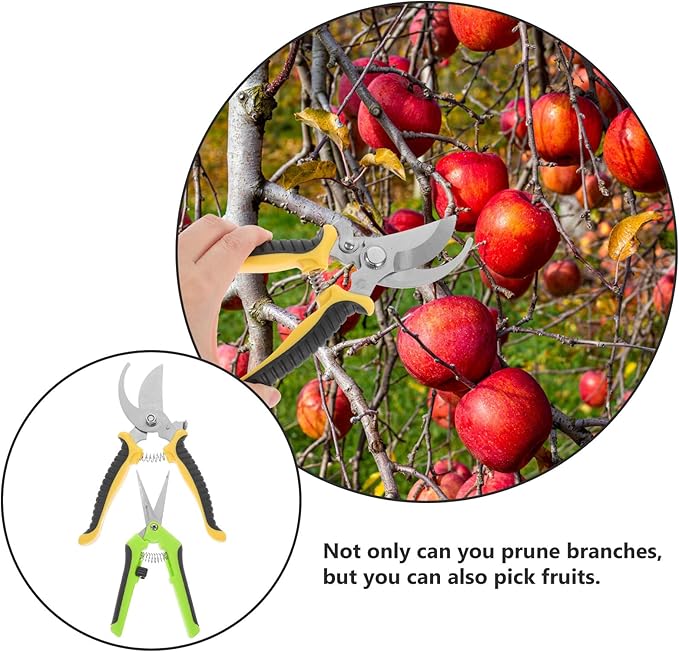 Milisten 2pcs Sk5 Steel Pruning Shears Garden Hand Tools with Straight and Curved Blades, Yellow and Green Handles, Multipurpose Plant and Fruit Tree Branch Trimming for Gardening
