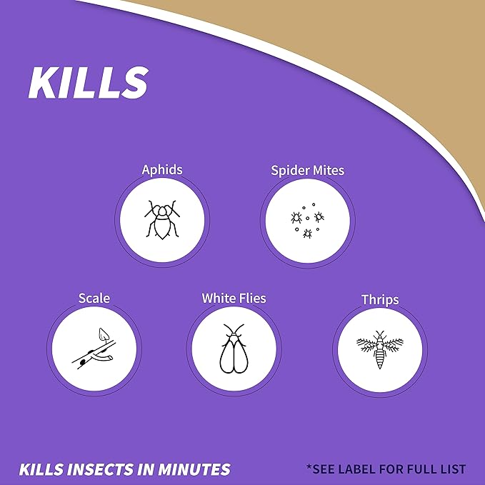 Bonide Insecticidal Soap, 32 oz Ready-to-Use Spray Multi-Purpose Insect Control for Organic Gardening Indoor and Outdoor