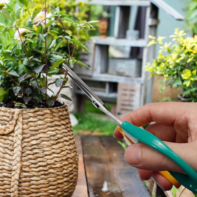 Totority 5pcs Garden Plant Shears and Pruning Shears for Tree Trimming, Stainless Steel Gardening Scissors Set for Fruit Picking and Branch Cutting, Sturdy Hand Tools for Outdoor Gardening