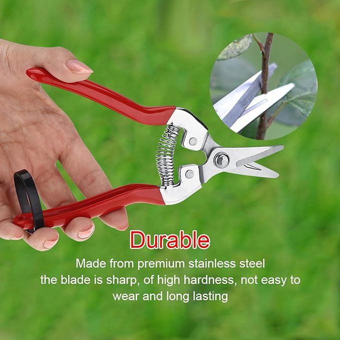 Trimming Scissors Flower Cutters for Stems Florist, Pruning Shears Indoor Plants Gardening Tools, Garden Scissors Bonsai Tools with Spring Loaded for Garden Workings (Curved Blade)