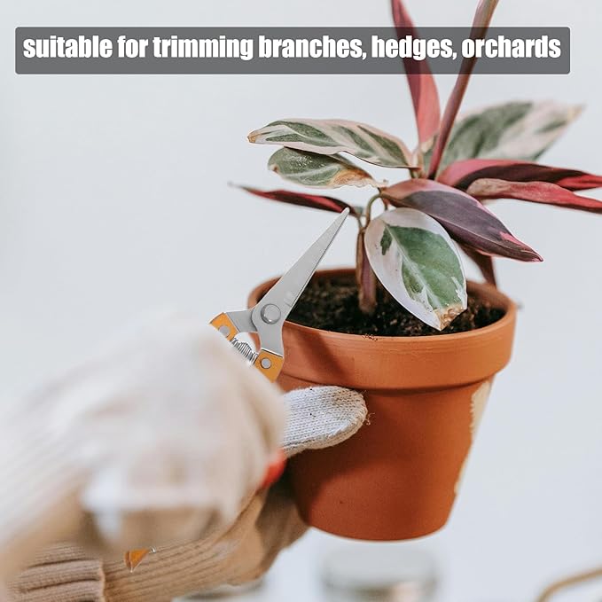 VANZACK 2pcs Stainless Steel Garden Pruning Shears Heavy Duty Plant Clippers for Fruit Tree and Vegetable Trimming, Large Gold Gardening Hand Tools for Orchard and Vineyard Use