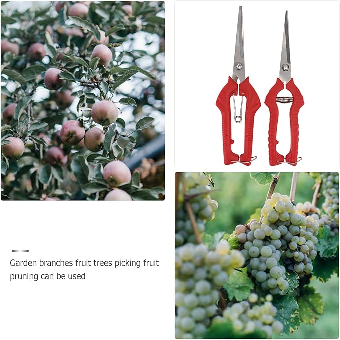 VOSAREA 2pcs Garden Pruning Shears Set with Bypass Blades, Large and Medium Fruit Picking Scissors for Tree Trimming and Bonsai Care, Gardening Hand Tools for Patio and Lawn Maintenance