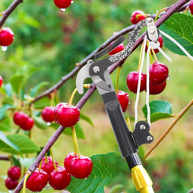 Kisangel Garden Saw and Fruit Branch Shear for Tree Pruning, Telescopic Gardening Pruner Shears Sharp Blades, Outdoor Hand Tool for High Branch Trimming and Fruit Tree Maintenance