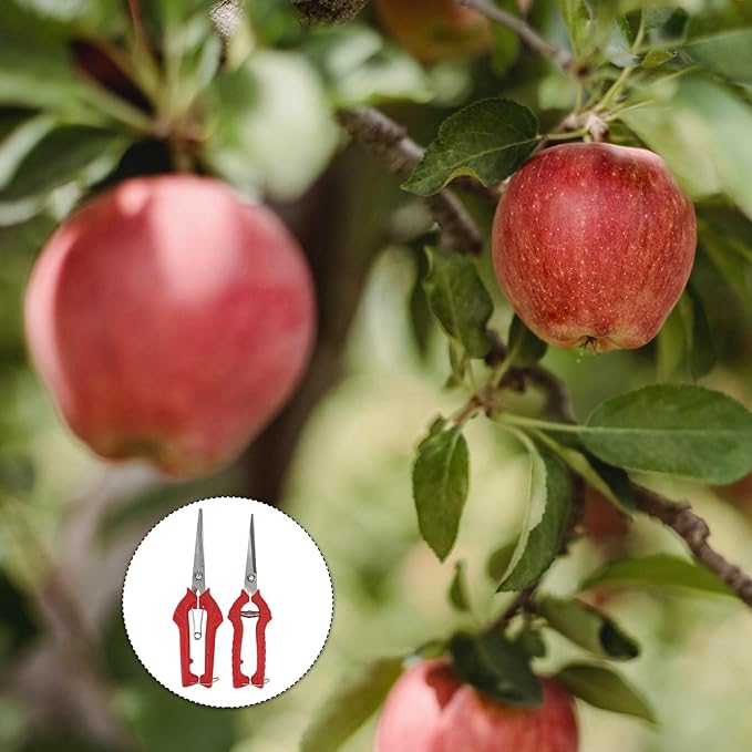 VOSAREA 2pcs Garden Pruning Shears Set with Bypass Blades, Large and Medium Fruit Picking Scissors for Tree Trimming and Bonsai Care, Gardening Hand Tools for Patio and Lawn Maintenance