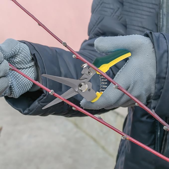 Stainless Steel Pruning Shear and Garden Scissors with Straight Tip, Hand Clippers for Tree Trimming and Flower Cutting, Garden Tool with Wrist Strap for Orchard and Yard Use