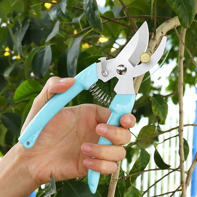 2pcs Garden Pruning Shears and Fruit Tree Branch Shears for Gardening, Curved and Straight Blade Designs, Sturdy Hand Tools for Tree Branch and Twig Trimming in Home Garden