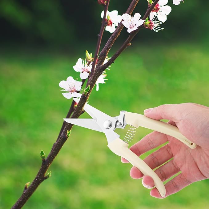 Toyvian Stainless Steel Branch Shears and Gardening Pruning Scissors for Fruit Tree Trimming with Straight Head, Horticulture Hand Tool for Precise Garden and Orchard Cutting