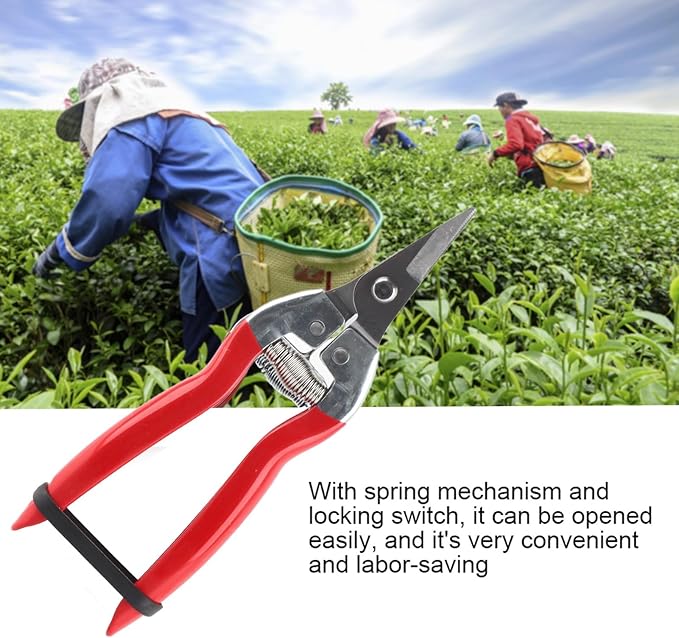 Trimming Scissors Flower Cutters for Stems Florist, Pruning Shears Indoor Plants Gardening Tools, Garden Scissors Bonsai Tools with Spring Loaded for Garden Workings (Curved Blade)