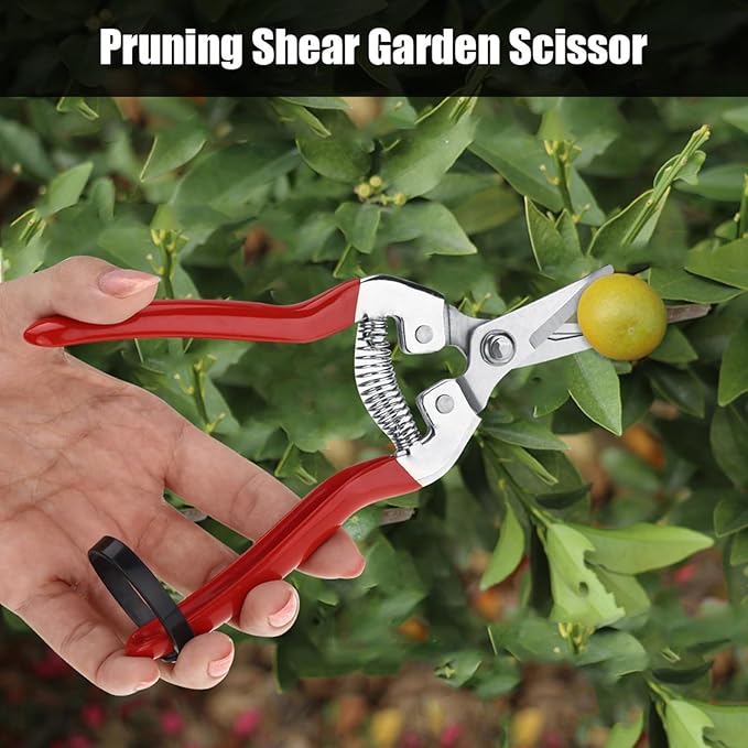 Trimming Scissors Flower Cutters for Stems Florist, Pruning Shears Indoor Plants Gardening Tools, Garden Scissors Bonsai Tools with Spring Loaded for Garden Workings (Curved Blade)
