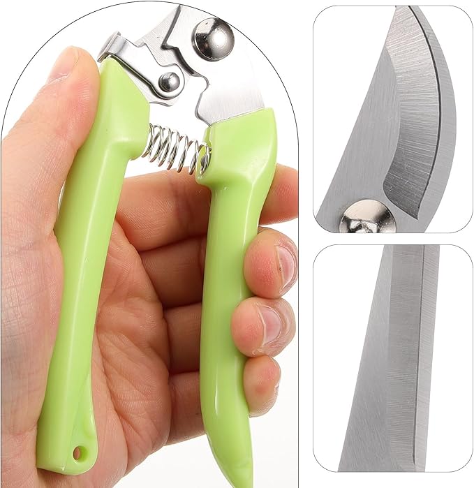 TIDTALEO 2pcs Stainless Steel Garden Pruning Shears Heavy Duty Curved and Straight Plant Scissors for Flower Cutting and Branch Trimming in Orchard Gardening Tools
