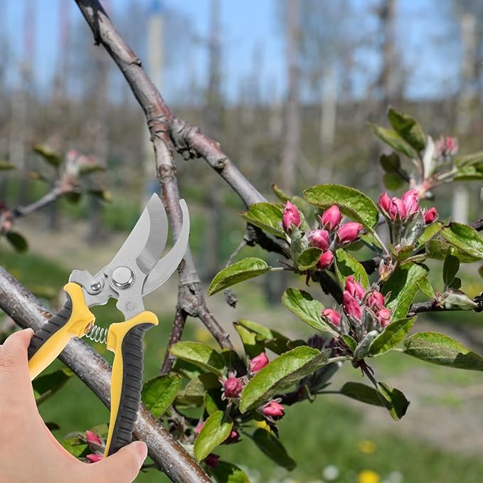 Milisten 2pcs Sk5 Steel Pruning Shears Garden Hand Tools with Straight and Curved Blades, Yellow and Green Handles, Multipurpose Plant and Fruit Tree Branch Trimming for Gardening